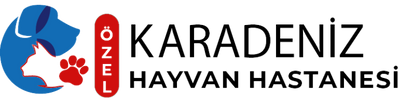 Mavi ve Sarı Kedi Hayvan ve Evcil Hayvalar Logo