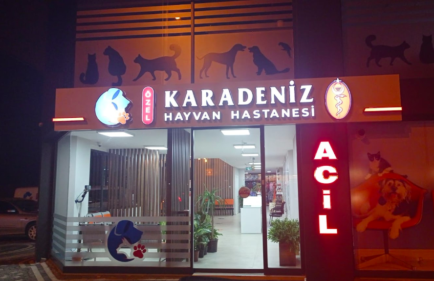 Ekran Resmi 2021-12-05 23.50.42